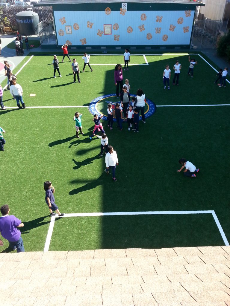 Marshall Elementary School SF March 2015 using Grass Tex AT755